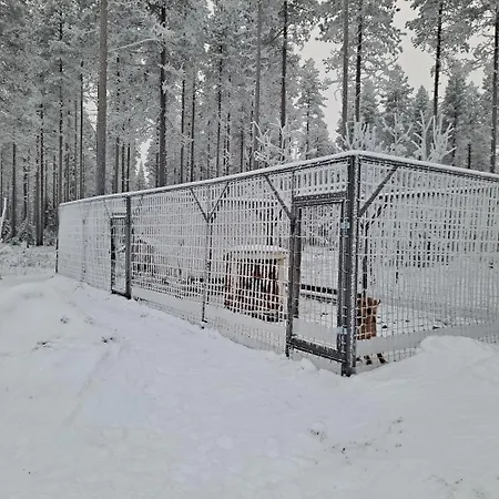 In The Country-only An Hour's Drive To Rovaniemi *