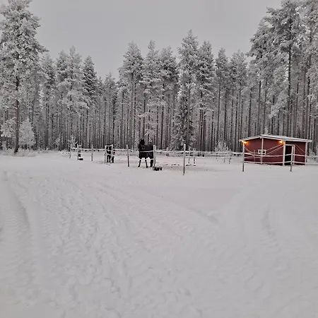 In The Country-only An Hour's Drive To Rovaniemi Apartamento *