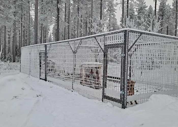 In The Country-only An Hour's Drive To Rovaniemi *