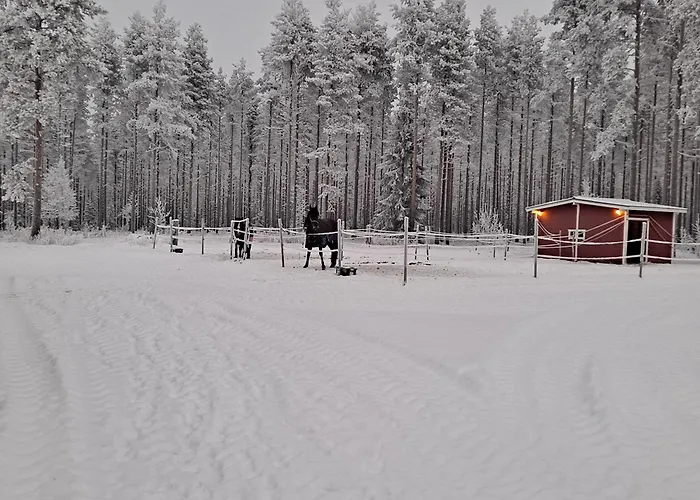 In The Country-only An Hour's Drive To Rovaniemi Appartement *