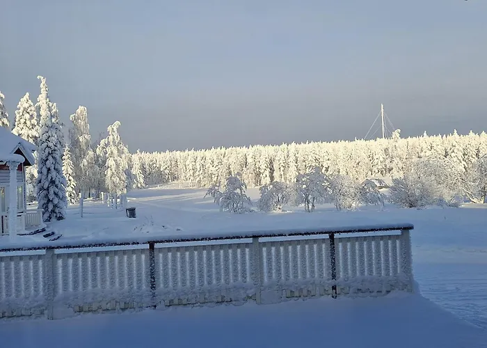 In The Country-only An Hour's Drive To Rovaniemi *